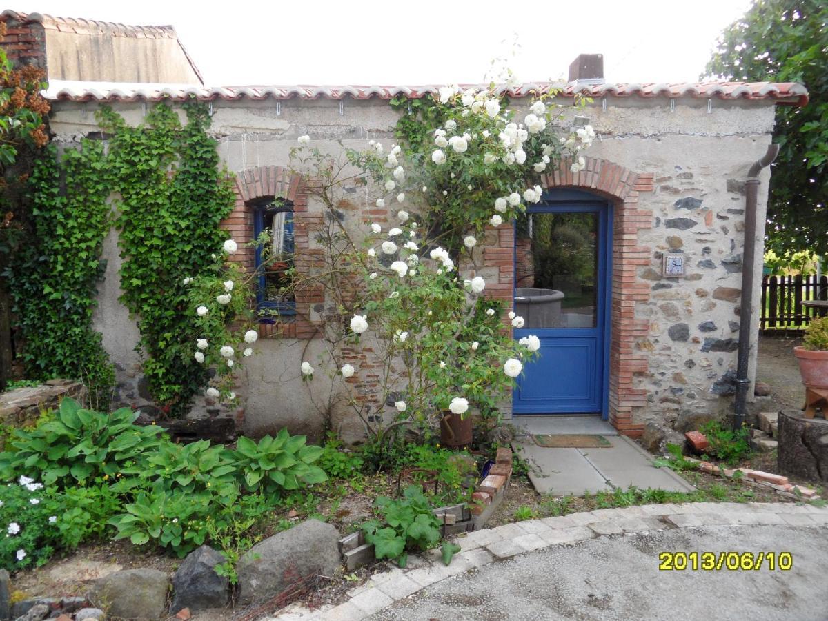 Maison De Charme A Mouzillon - Jardin Et Terrasse Accueillante Exteriér fotografie